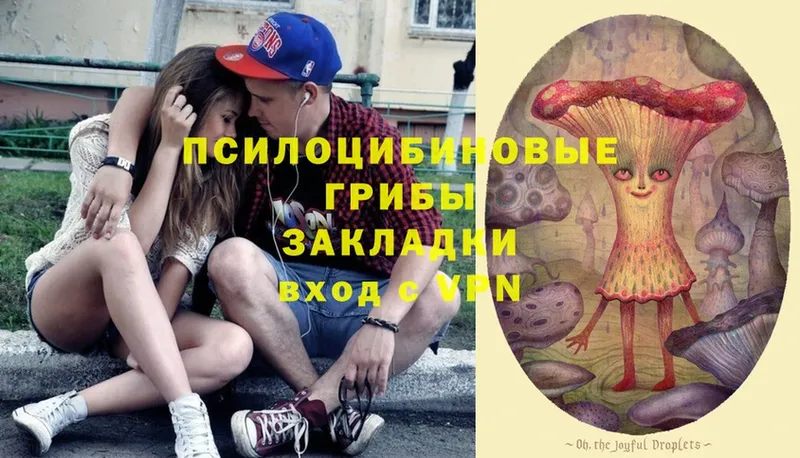 Псилоцибиновые грибы Psilocybine cubensis  Калязин 